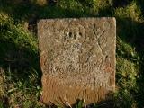 image of grave number 19566